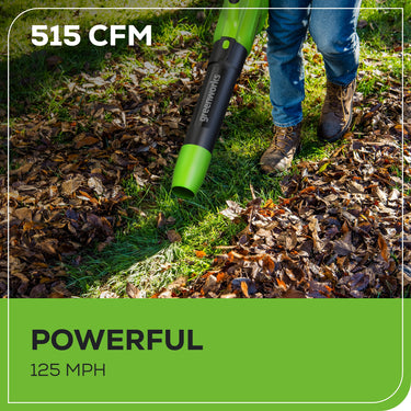 48V (2x24V) 515 CFM Cordless Battery Leaf Blower w/ (2) 2.0Ah USB Batteries & Charger