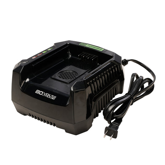 80V 6A Battery Charger