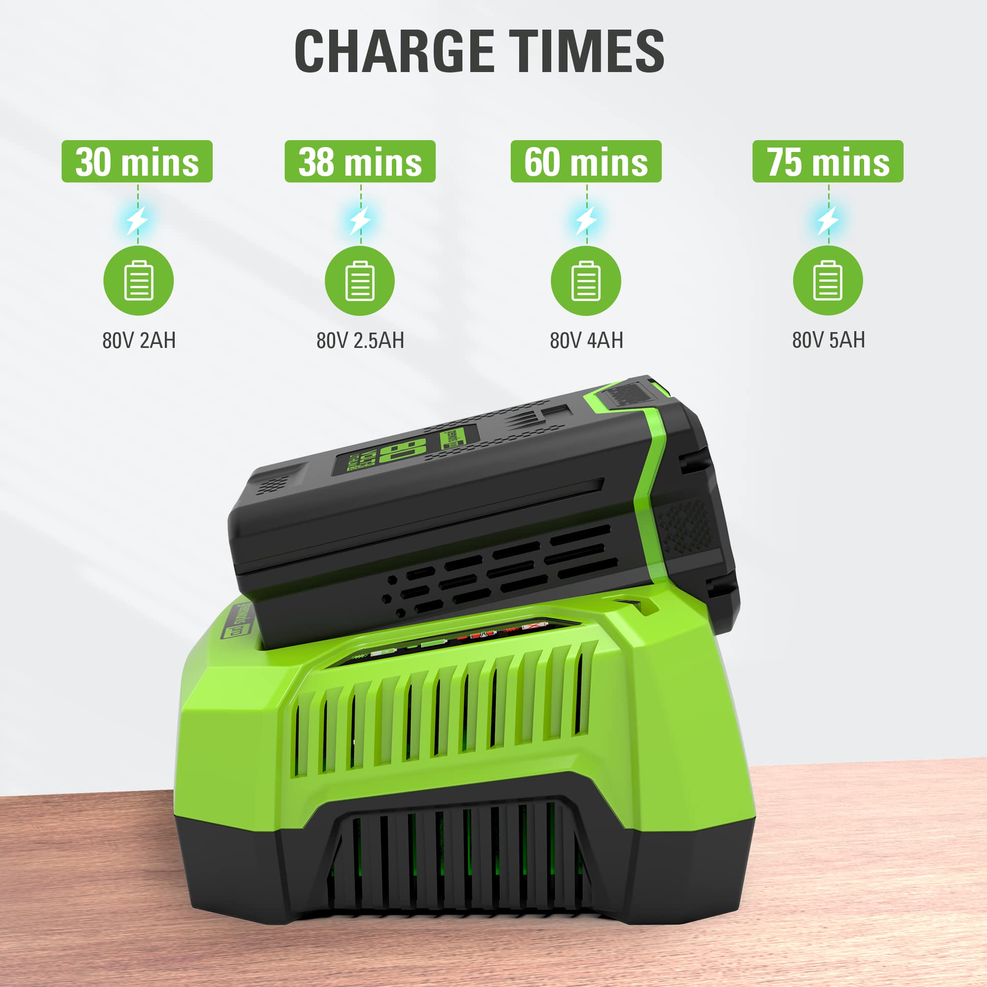 80V 4.0A Rapid Battery Charger (Renewed)